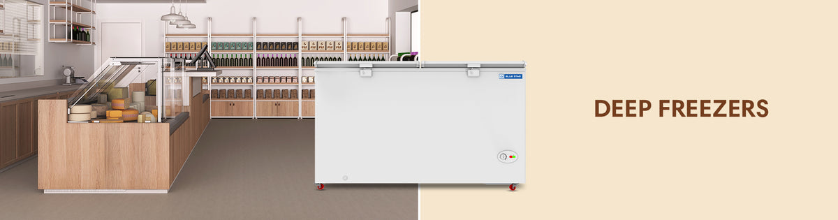 Deep Freezers – Blue Star